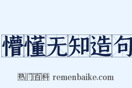 懵懂无知造句是什么意思的图片